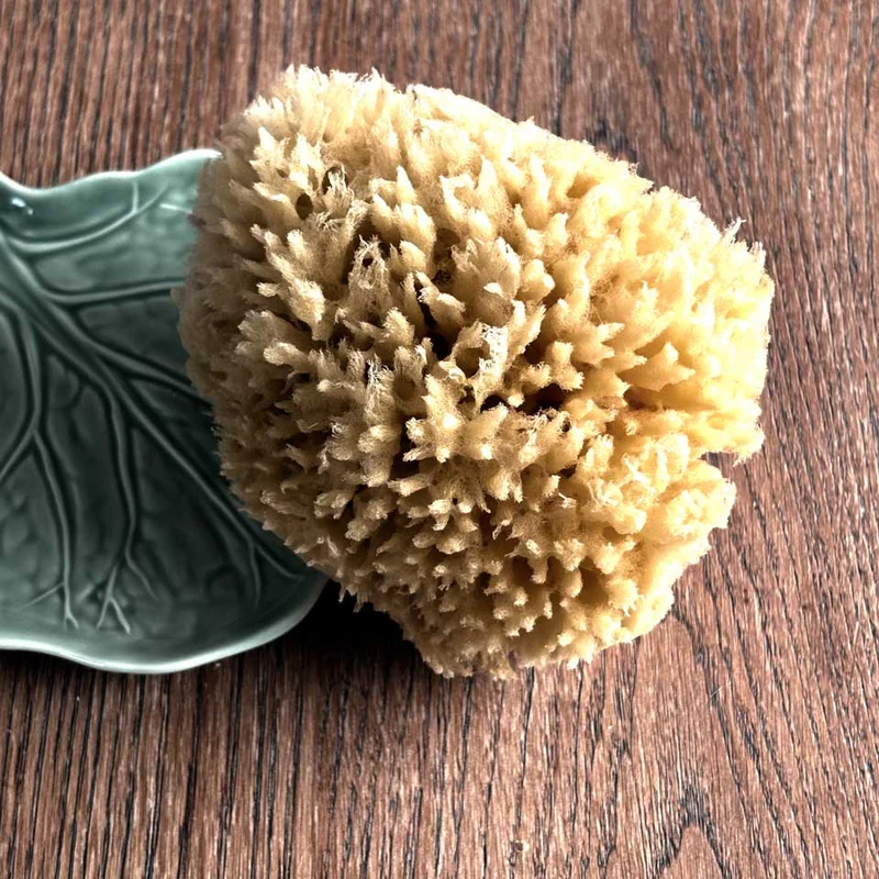 Naturschwamm gross