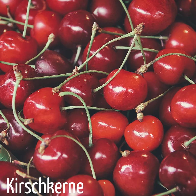 Kirschkerne in Premium-Qualität, 5 kg