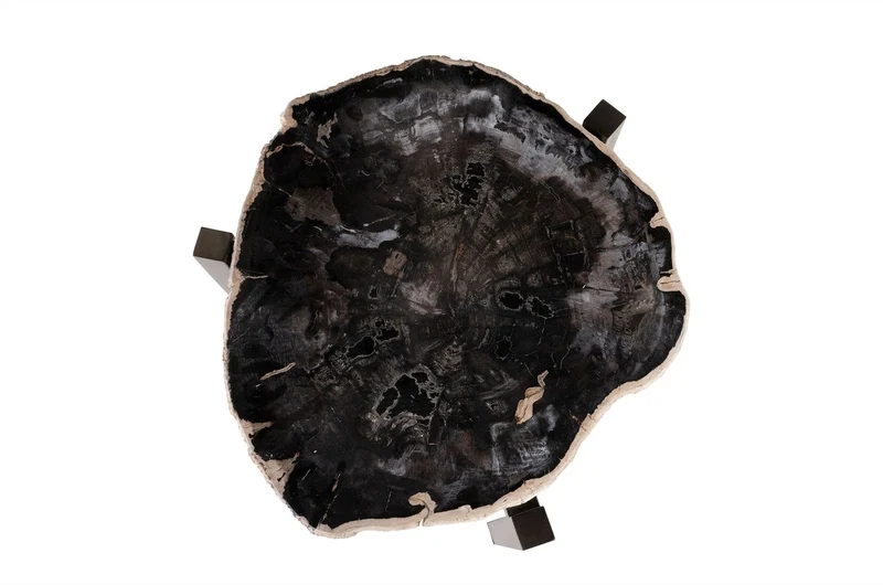 Casa Padrino Luxus Beistelltisch Braun 65 x 65 x H. 67 cm - Beistelltisch mit Tischplatte aus versteinertem Holz und Edelstahlfuß - Luxus Möbel