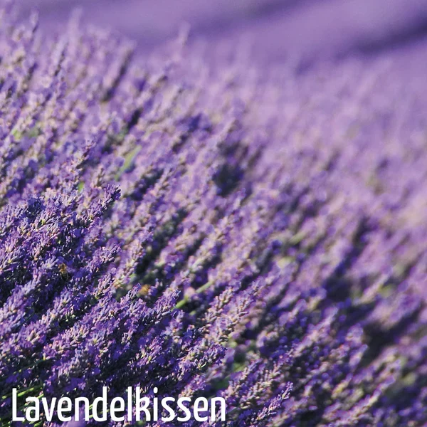 Lavendelblüten, 200 g