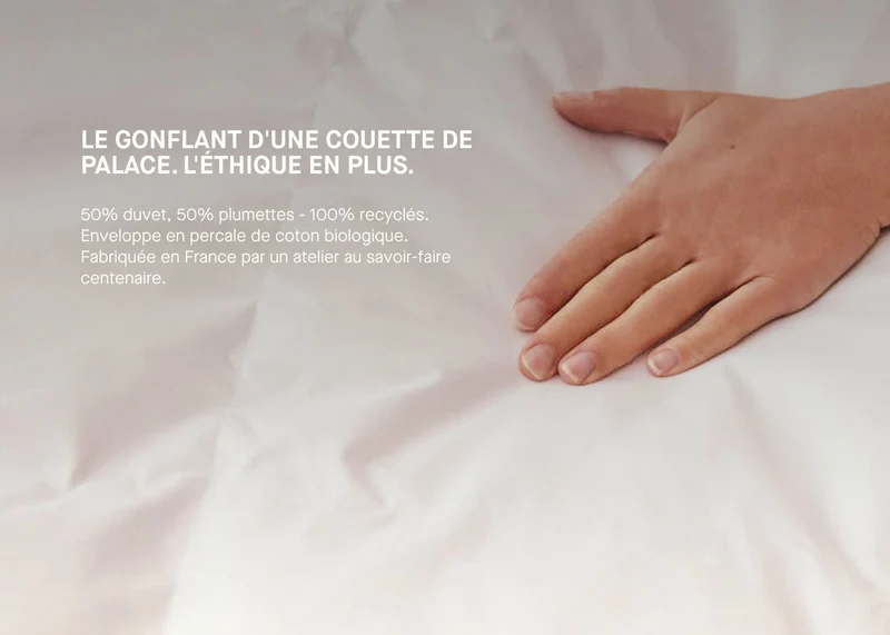 Couette en duvet et plumes