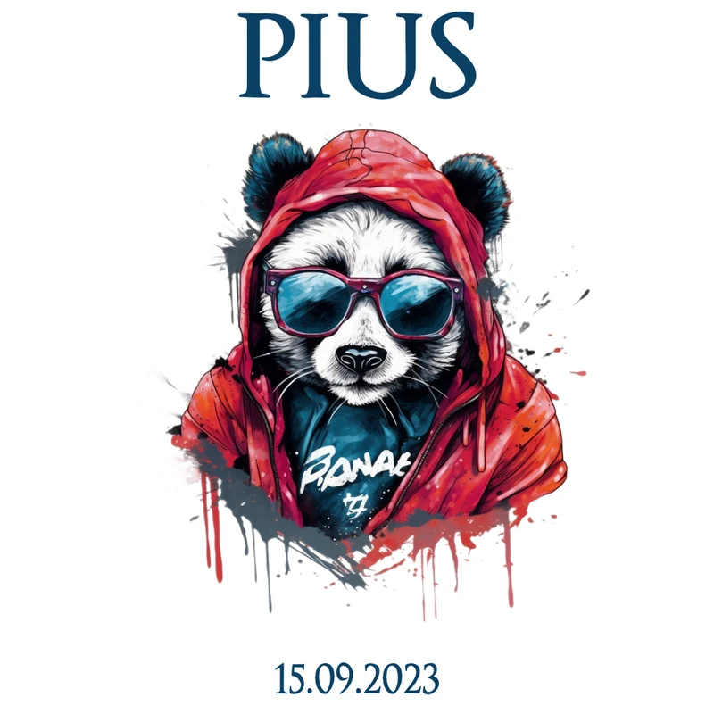 Panda Stoff Schultüte in Blau für Jungen mit Namen handgenähte Tier Einschulungstüte Datum Zuckertüte 70 cm personalisiert | Optional mit Füllkissen und Spitzenschutz