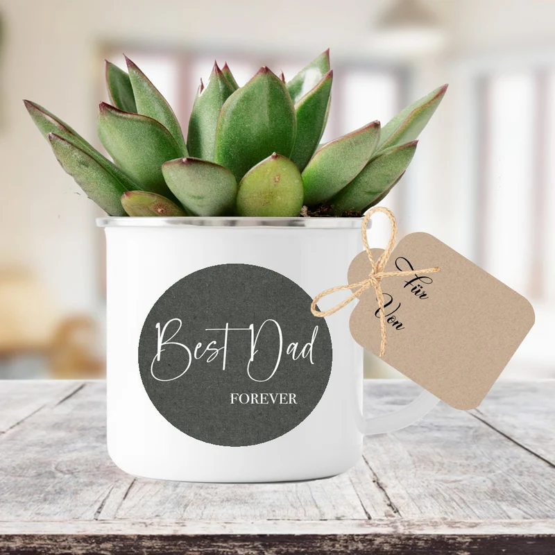 Flaschenlicht "Best Dad forever" | Perfektes Geschenk für coole Väter | Originielle Geschenkidee für den Papa | 3 Produktvarianten zur Auswahl
