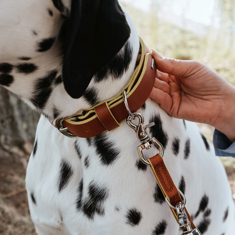 Halsband Garda