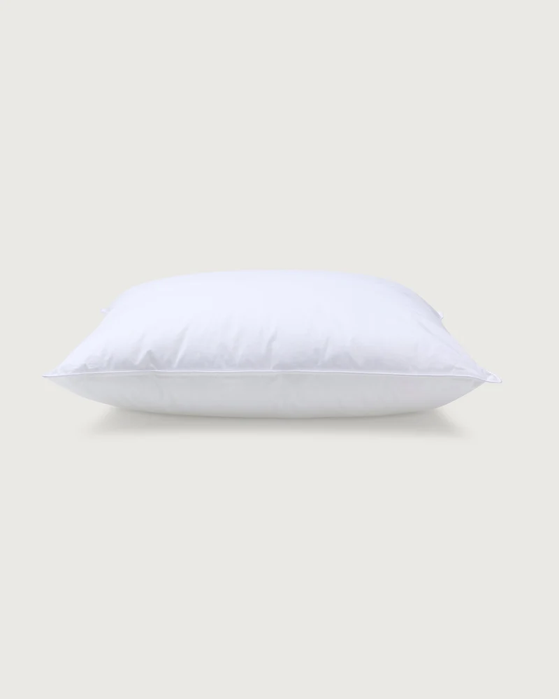 Vegan Pillow