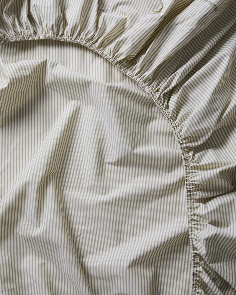 Fitted Sheet Cotton Stripe Olive Ecru