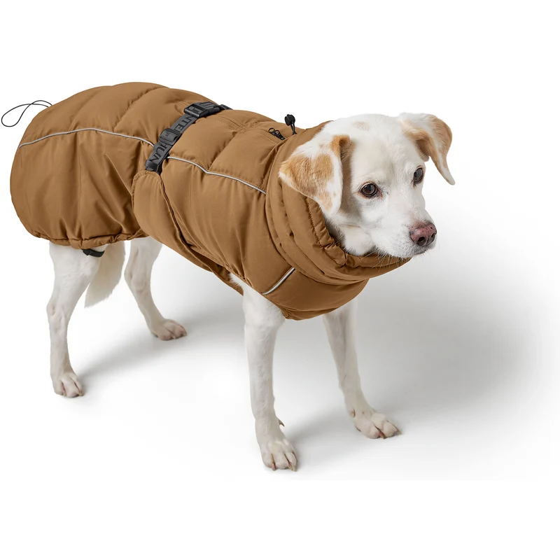Hundemantel Paxson