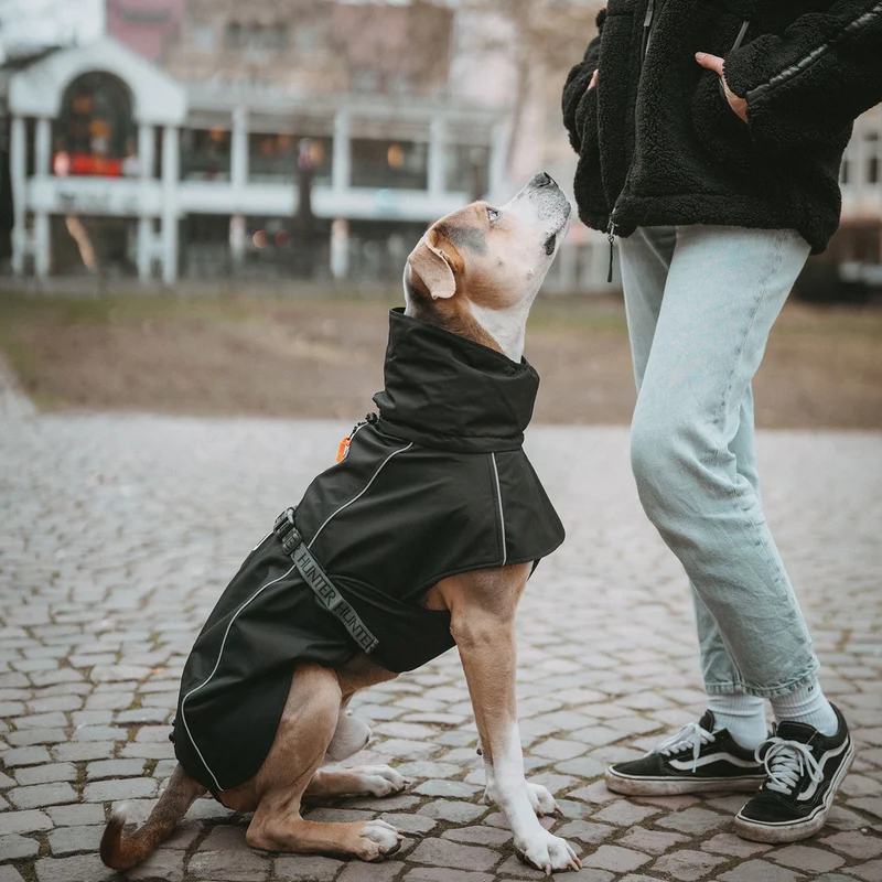 Hundemantel Nordby