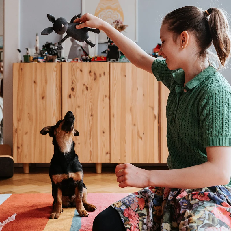 Hundespielzeug Alma
