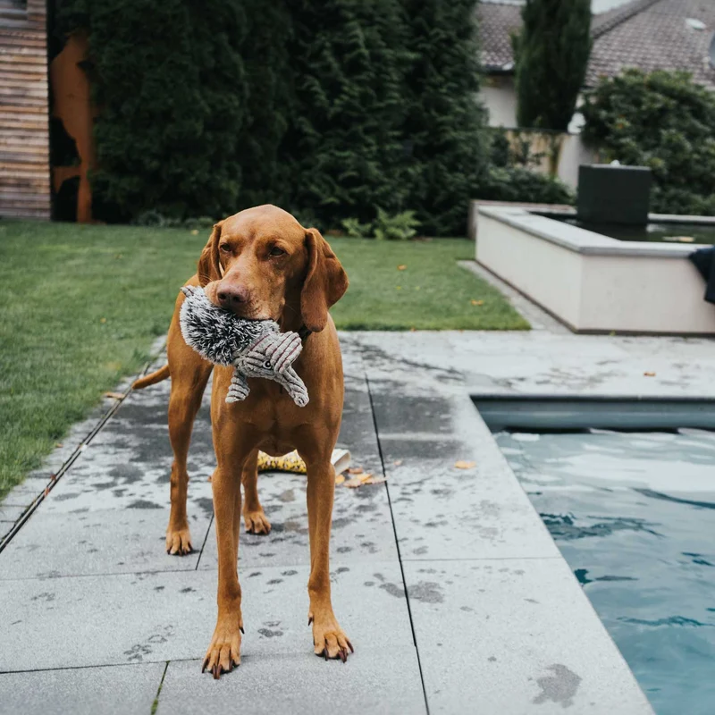 Hundespielzeug Pori