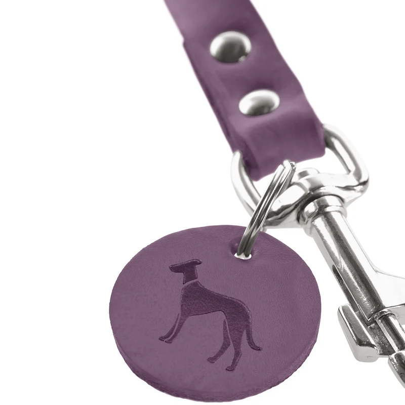 Führleine