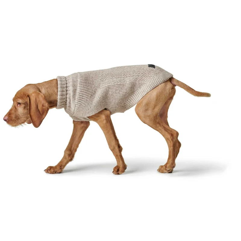 Hundepullover Genf