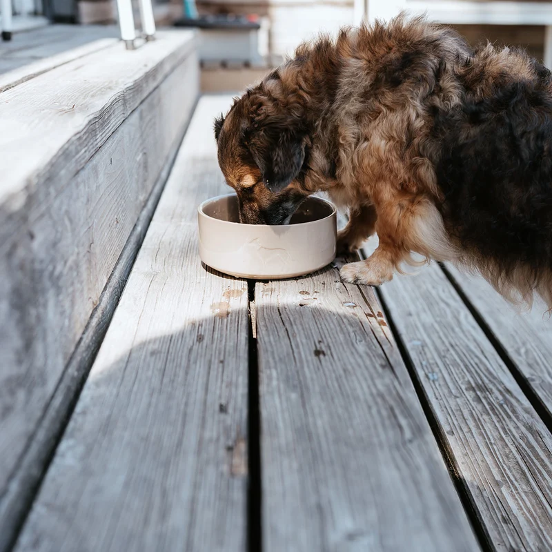 Keramik-Napf Osby Glazed
