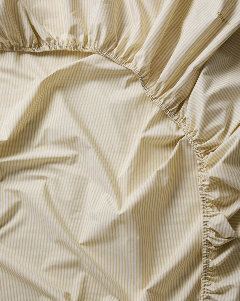 Fitted Sheet Cotton Stripe Lemon Ecru