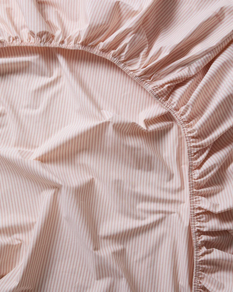 Fitted Sheet Cotton Stripe Peach Ecru