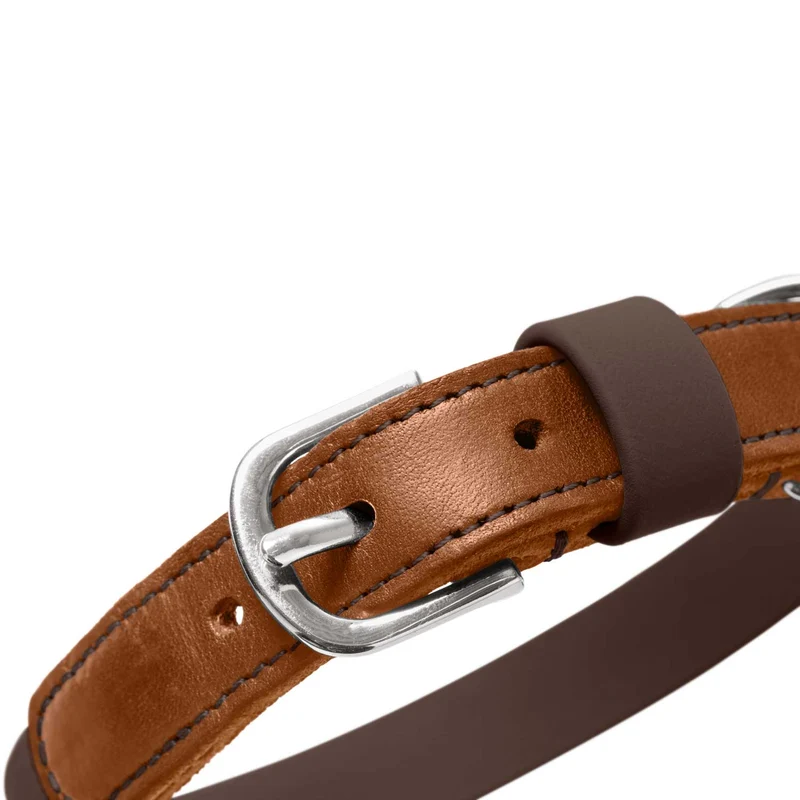 Halsband Wolmar BioThane® x Leder