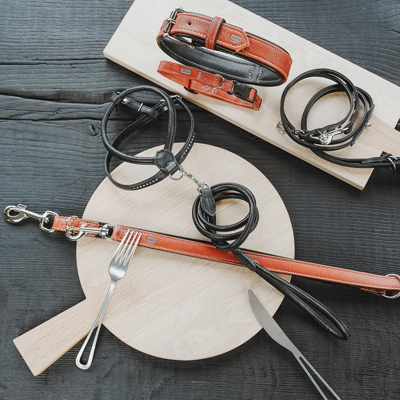 Halsband Canadian Up
