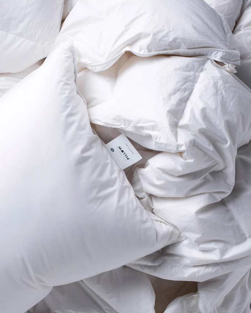 Duvet Winter Premium Goose Down